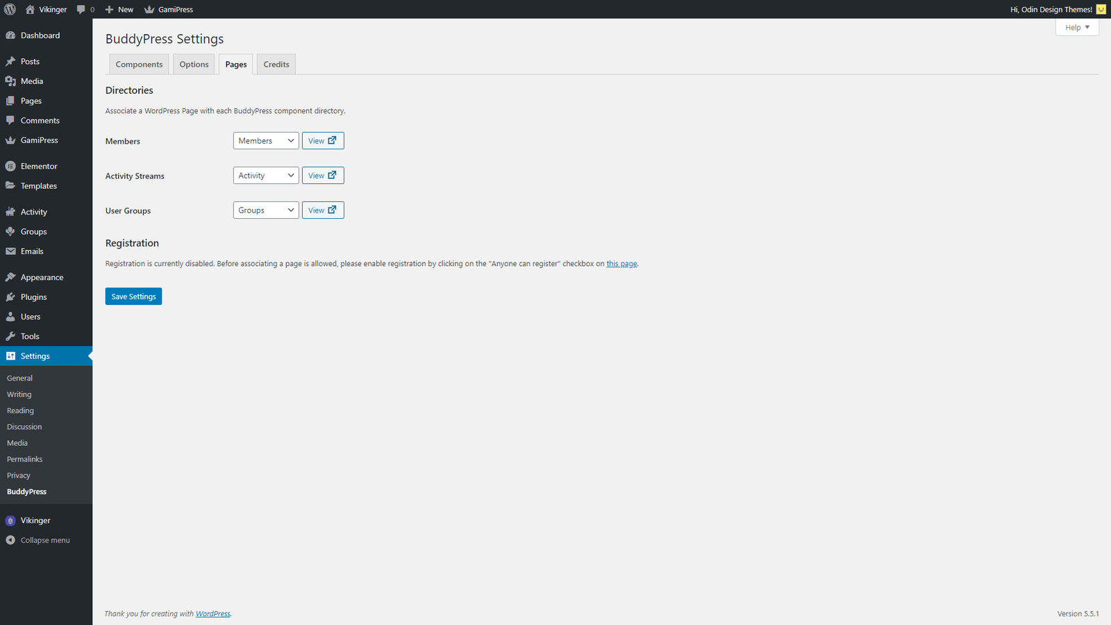 Theme Setup – Vikinger – BuddyPress and GamiPress Social Community